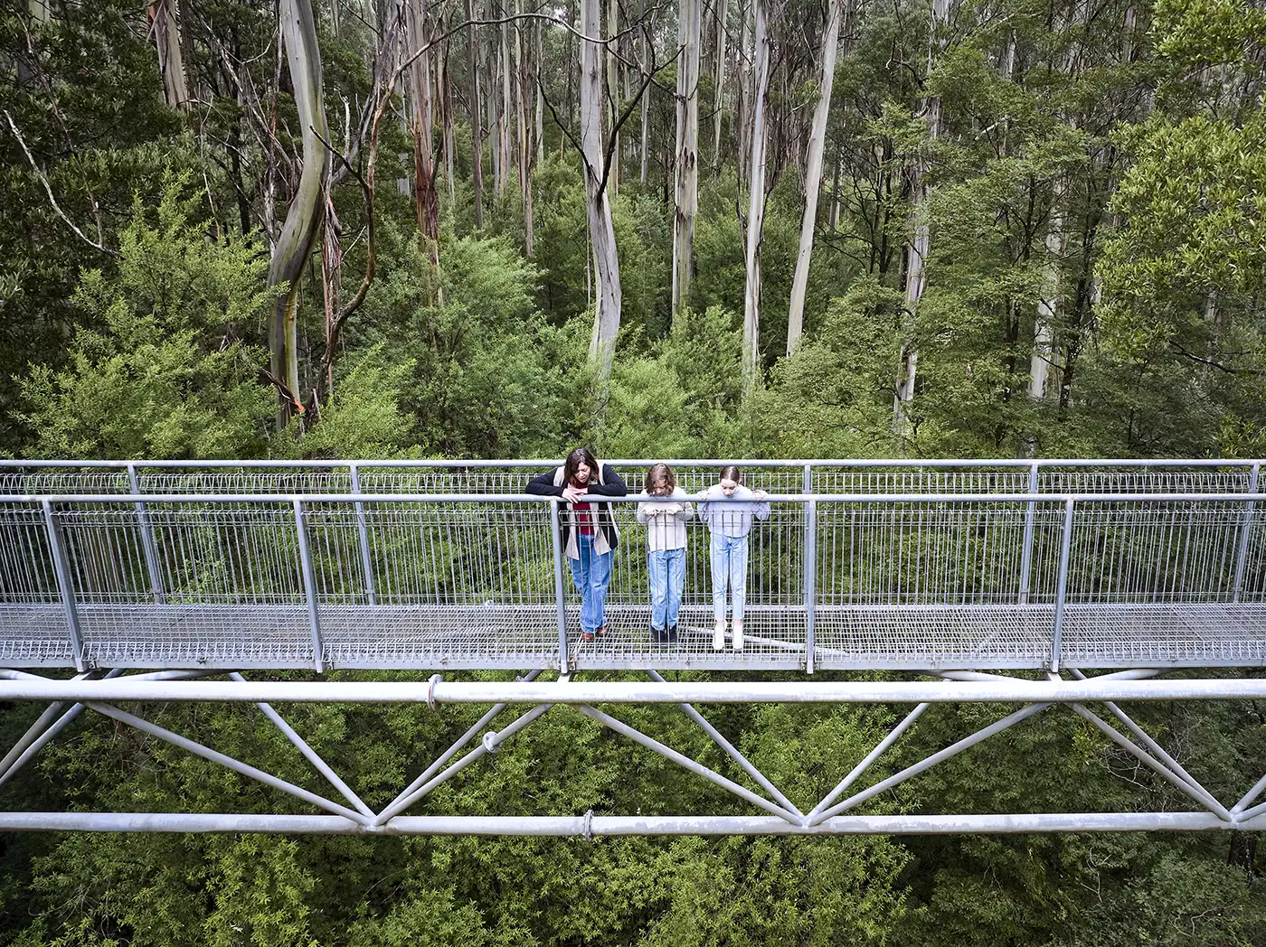 Family at a forest adventure